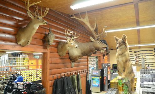 Locked & Loaded Ltd.