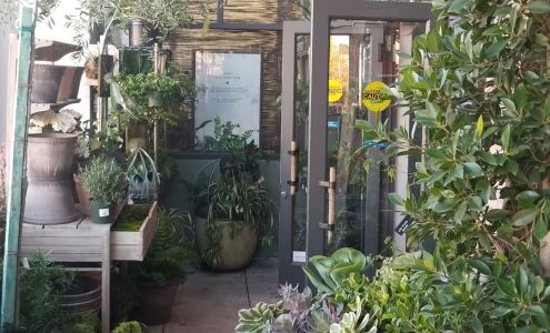 Anthropologie Weddings