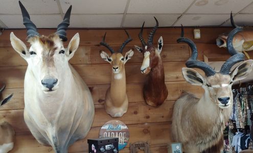 Freer Deer Camp Freer