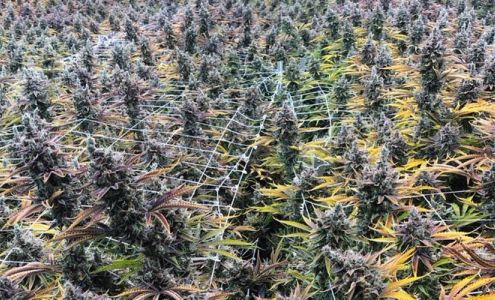 Trulieve Medical Marijuana Dispensary Devon Devon