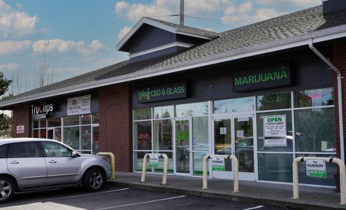 The Kushery Cathcart | Marijuana | Pot