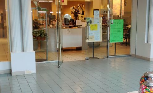 Greek Italian Leather