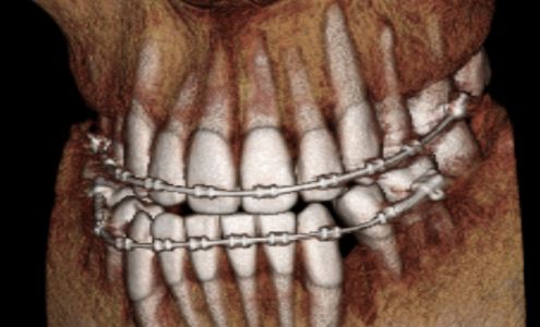 Dental Technology Integrators, Inc.