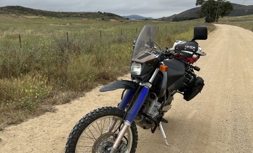 Shock therapy racing