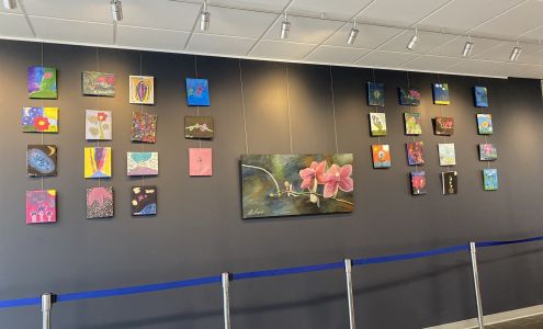 DaySpring Arts & Education