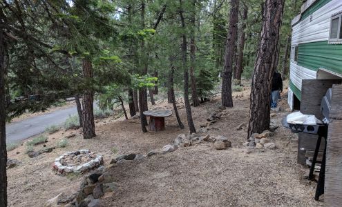 Tahoe Timber Trails Association