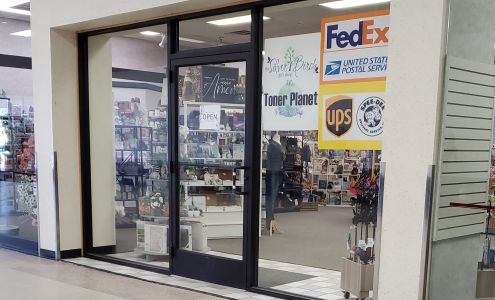 Silver Birch/Toner Planet