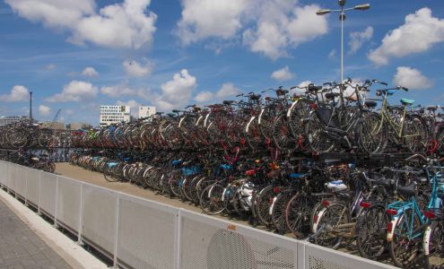 Dave Lynn Video and Photo Services