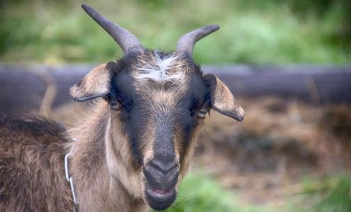 Camera Repair & Audio Services