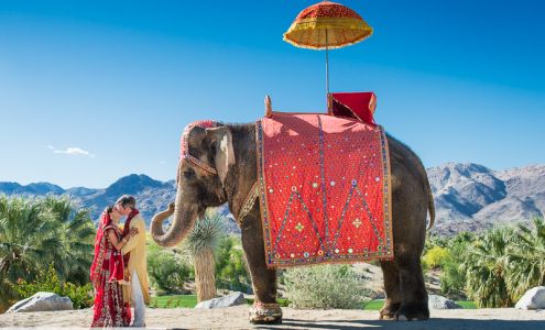 Rob Greer Photography