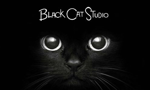 Black Cat Studio
