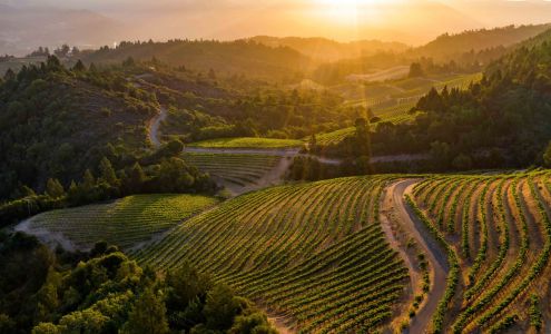 Bryan Gray Photography