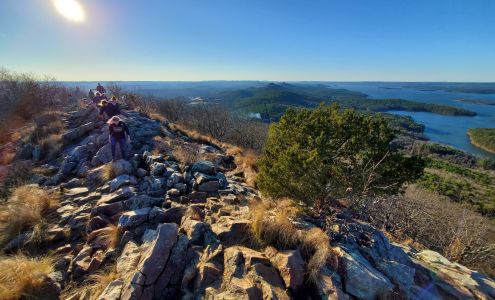 Pinnacle Mountain State Park Roland