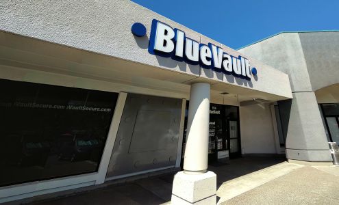BlueVault San Diego