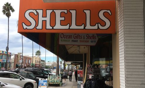 Ocean Gifts and Shells