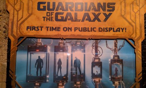 The Collector's Warehouse