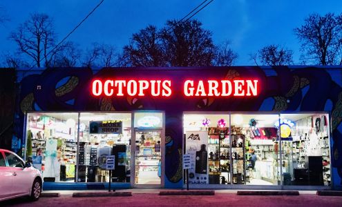 Octopus Garden