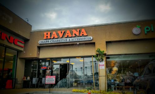 Havana Cigars