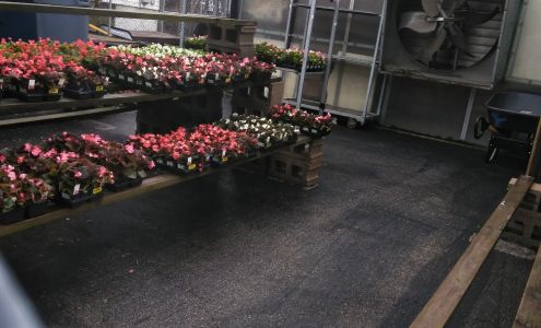 Farmer's Market Garden Center