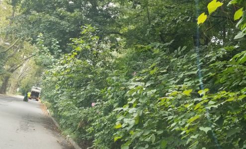 Newark Jewelers Supply Co