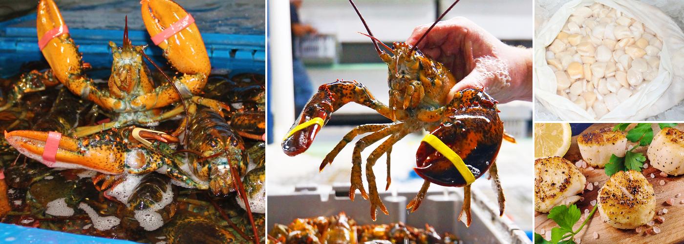 Fleet Fisheries, Inc. Menu