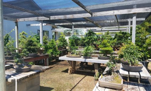 Matsuda Landscape & Nursery Newcastle