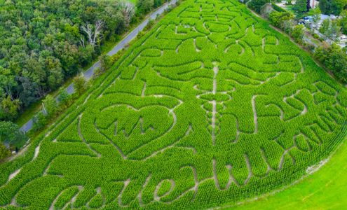 Castle Hill Farm Inc