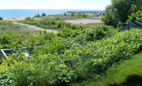 Northshores Landscape & Design Lexington