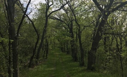 Kettle Moraine State Forest Southern Unit Headquarters Eagle