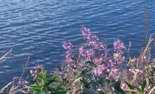 Bear Valley Mini Storage