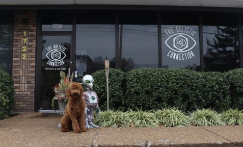 The Holistic Connection - Brentwood