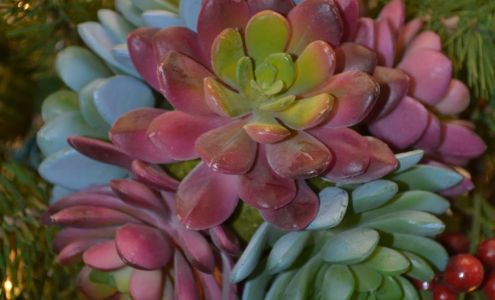 Blue Sky Garden Center