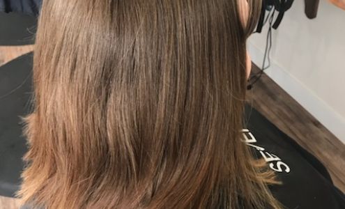 Wylde Roots Hair Salon