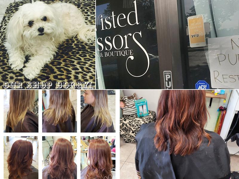 Twisted Scissors Salon And Boutique