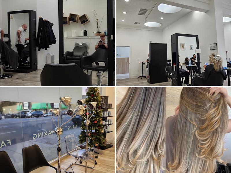 The Salon by Paul Kabaghian