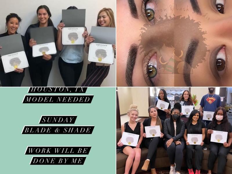 The Brow & Lash Studio