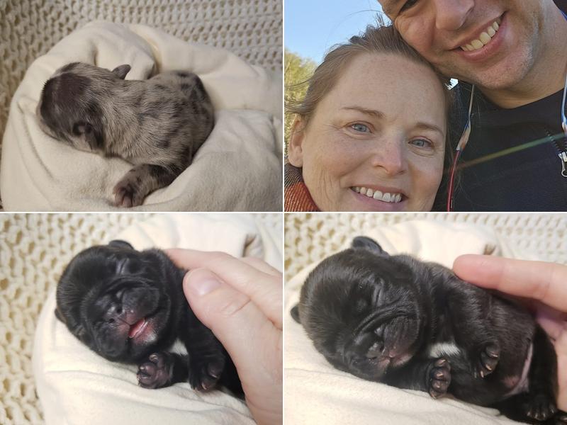 Ashley P Maturin, Licensed Massage Therapist #3935; Lafayette, LA