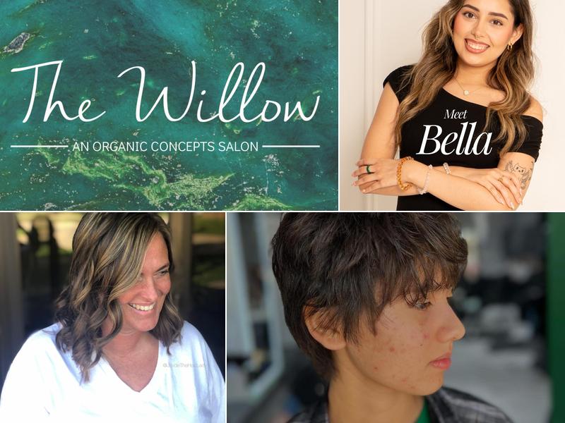 The Willow - an Organic Concepts Salon