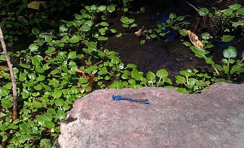 Moving Muscles Massage Therapy