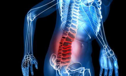 Alicia L. Oberlin, LMT