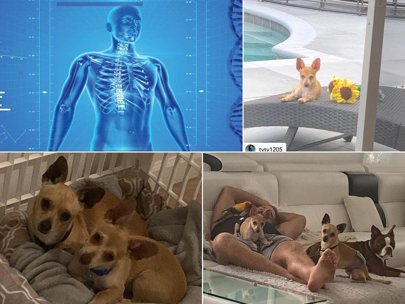 Spine & Sport Rehab Institute