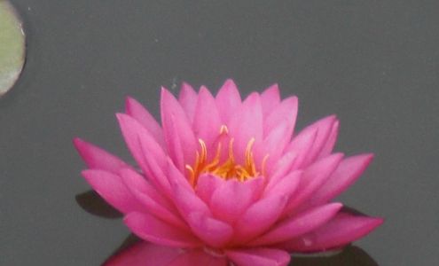 Blossom Wellness Centre 120 N York St UNIT 110, Elmhurst Illinois 60126