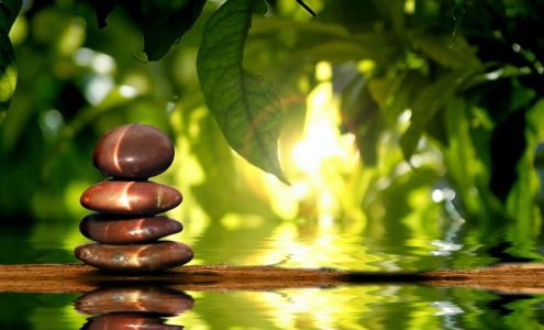 P.U.R.E. Holistic Center