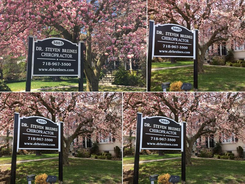 Steven Breines, D.C.