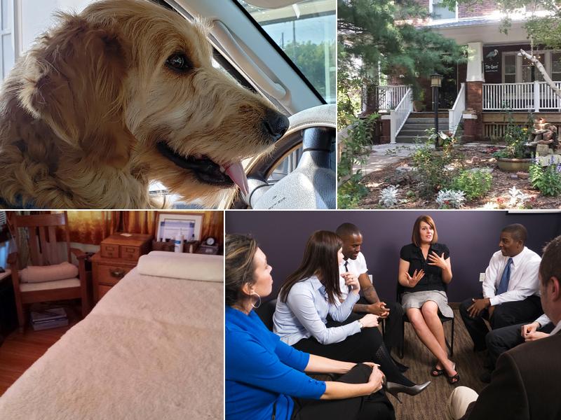 Quest-Connections In Mind: Ellis Barbara J