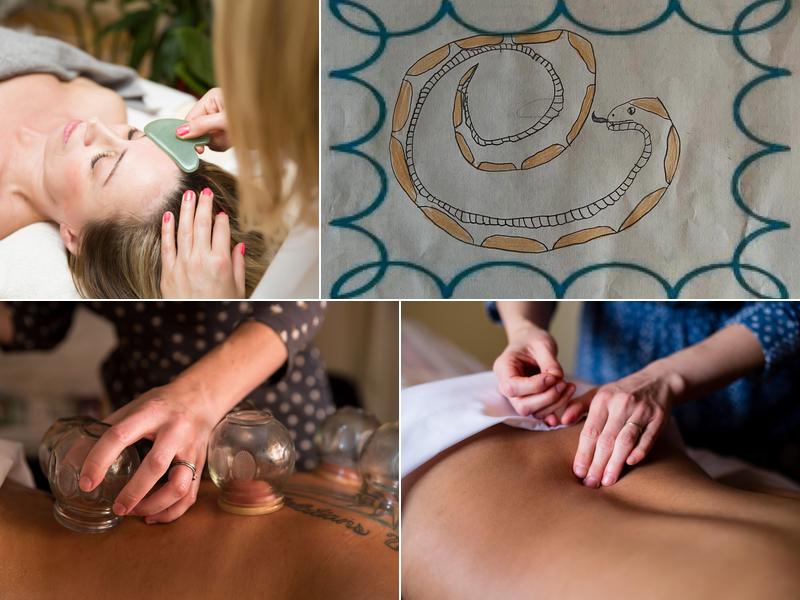 Blue Heron Acupuncture and Apothecary