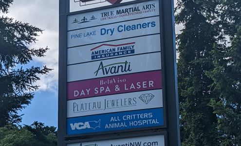 Pine Lake Chiropractic Clinic