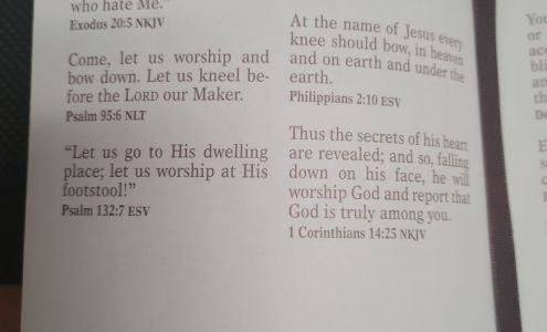 Michael's Wellness Center