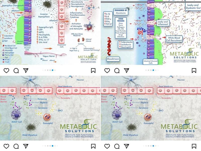 Reva Bloom Craniosacral Therapy