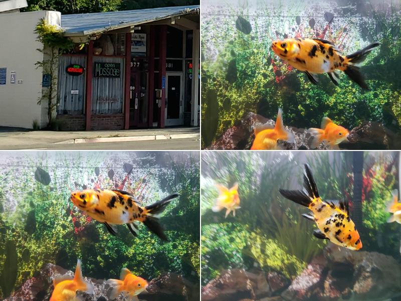 Creekside Spa & Salon